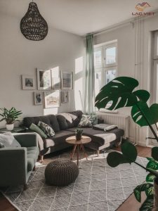 Hãy tận dụng ánh sáng tự nhiên và thêm cây xanh vào phòng khách của bạn